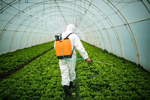 Best Pest Prevention Services  in Antioch, IL