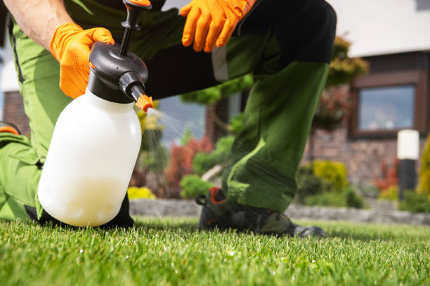 Best Mosquito Control Services  in Antioch, IL