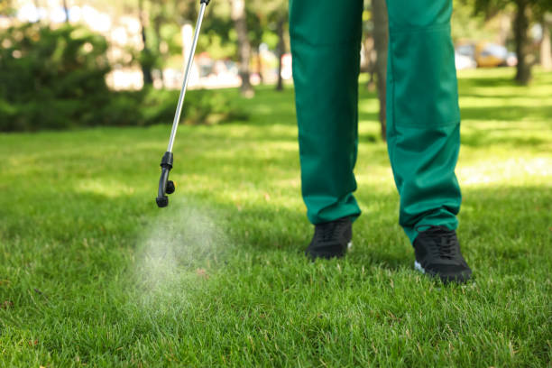 Best Best Pest Control Companies  in Antioch, IL