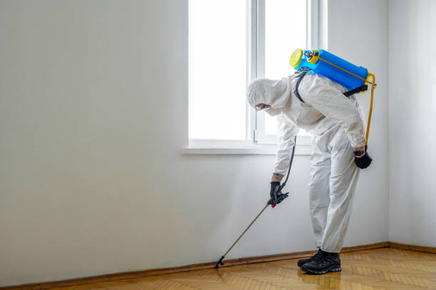 Best Mosquito Control Services  in Antioch, IL
