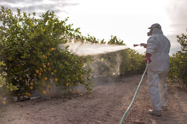 Best Ant Control Services  in Antioch, IL