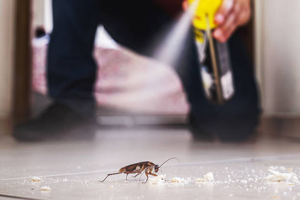 Best Best Pest Control Near Me  in Antioch, IL